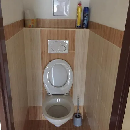 Apartman Nad Vltavou شقة *